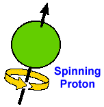 spinning proton